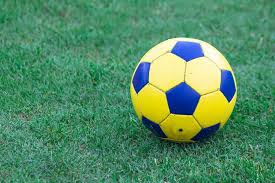 14开奖结果和奖金平台免费下载